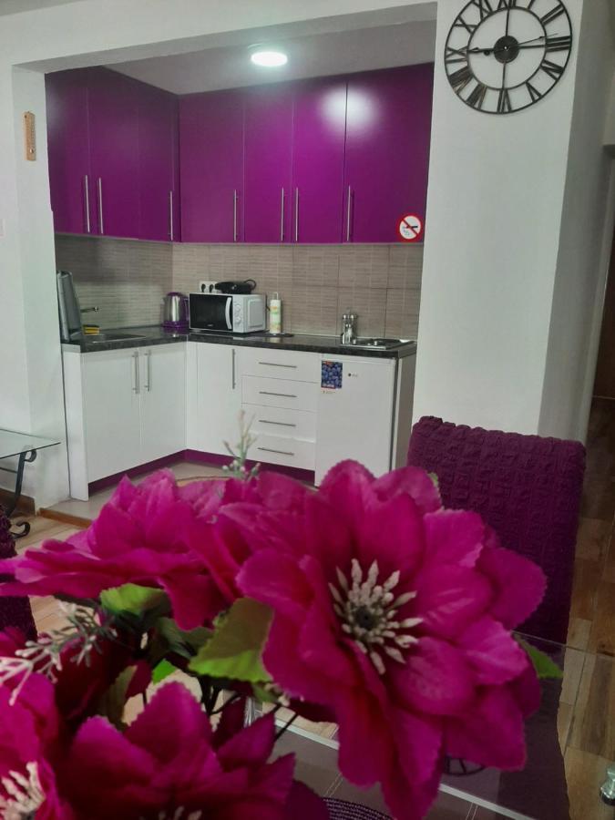 Family Apartment Near Old Town موستار المظهر الخارجي الصورة